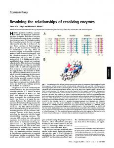 Resolving the relationships of resolving enzymes