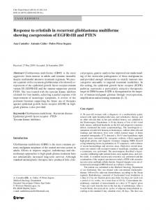 Response to erlotinib in recurrent glioblastoma ... - Springer Link