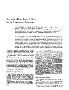 Retention of Membrane Proteins by the Endoplasmic ... - Europe PMC