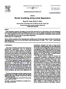 Retinal remodeling during retinal degeneration - CiteSeerX