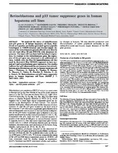 Retinoblastoma and p53 tumor suppressor ... - The FASEB Journal