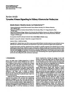 Review Article Tyrosine Kinase Signaling in Kidney ... - ScienceOpen