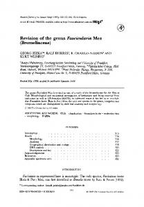 Revision of the genus Fascicularia Mez (Bromeliaceae)