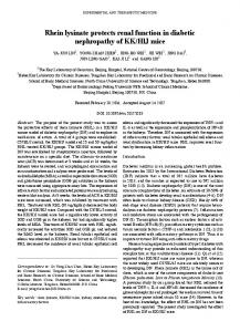 Rhein lysinate protects renal function in diabetic