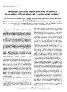 Rhizobial Nodulation Factors Stimulate Mycorrhizal