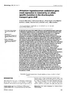 Rhizobium Ieguminosarum nodulation gene (nod ... - CiteSeerX