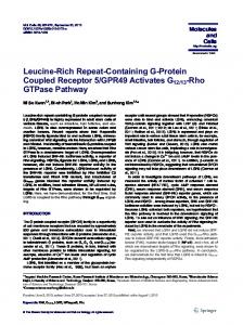 Rho GTPase Pathway - ScienceCentral