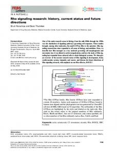 Rho signaling research - Wiley