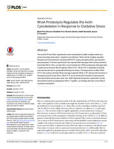 RhoA Proteolysis Regulates the Actin