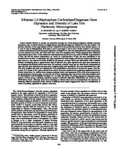 Ribulose-1,5-Bisphosphate Carboxylase/Oxygenase ...