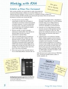 RNA Guide: Working with RNA