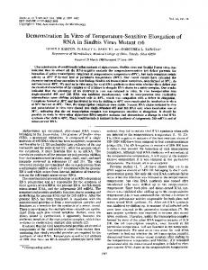 RNA in Sindbis Virus Mutant ts6 - Journal of Virology - American ...