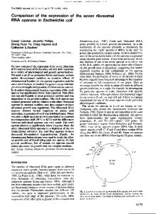 RNA operons in Escherichia coli - Europe PMC