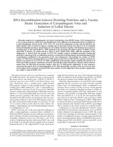 RNA Recombination between Persisting ... - Journal of Virology