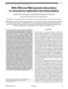 RNA-RNA and RNA-protein interactions in coronavirus replication and ...