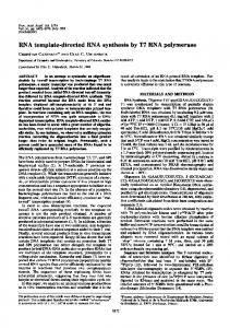 RNA template-directed RNA synthesis by T7 RNA polymerase - PNAS