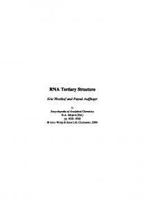 RNA Tertiary Structure - IBMC