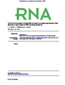 RNA