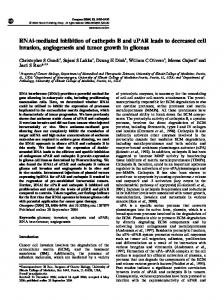 RNAi-mediated inhibition of cathepsin B and uPAR leads to ... - Nature