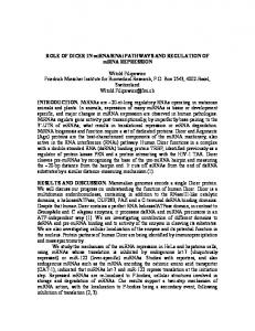 RNAi PATHWAYS AND REGULATION OF