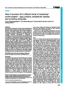 Role of connexin 43 in different forms of intercellular ...