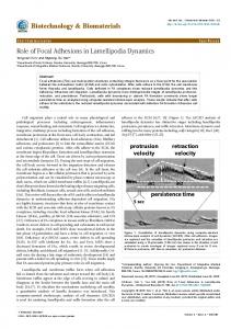 Role of Focal Adhesions in Lamellipodia ... - OMICS International