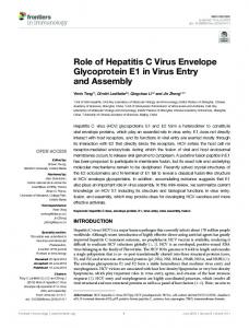 Role of Hepatitis C Virus Envelope Glycoprotein E1 in ...