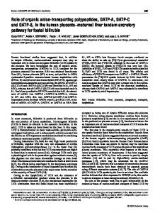 Role of organic anion-transporting polypeptides, OATP-A, OATP-C ...