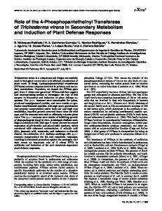 Role of the 4-Phosphopantetheinyl Transferase of Trichoderma virens ...