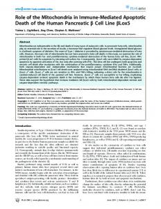 Role of the Mitochondria in Immune-Mediated ... - Semantic Scholar