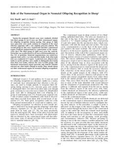 Role of the Vomeronasal Organ in Neonatal Offspring Recognition in ...