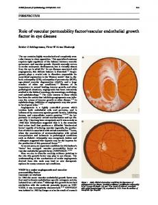 Role of vascular permeability factor/vascular endothelial growth factor ...