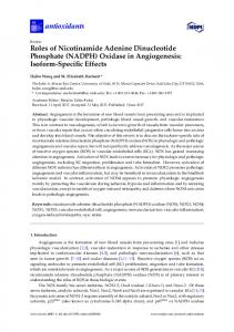 Roles of Nicotinamide Adenine Dinucleotide Phosphate (NADPH