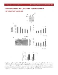 ROS-independent Nrf2 activation in prostate cancer