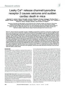 ryanodine receptor 2 causes seizures