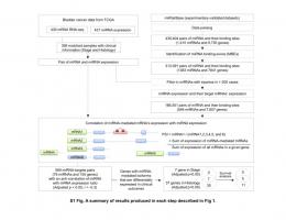 S1 Fig final.tif - PLOS