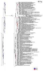 S4 Fig - PLOS