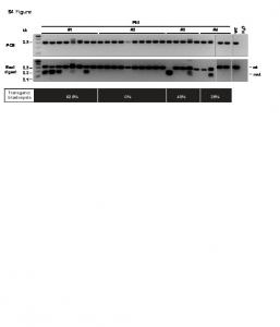 S4 Figure - PLOS