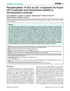 Saccharomyces cerevisiae