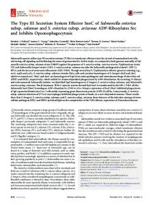 Salmonella - Infection and Immunity