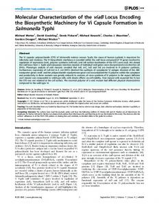 Salmonella Typhi - ScienceOpen