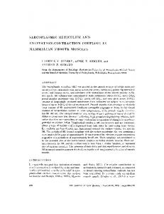 sarcoplasmic reticulum and excitation-contraction ... - BioMedSearch