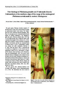 Sauria: Gekkonidae - Herpetology Notes