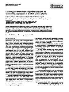 Scanning Electron Microscopy of Scales and its Taxonomic ...