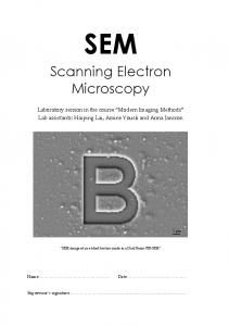 Scanning Electron Microscopy