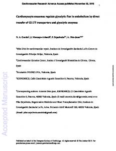 Science Manuscript Template