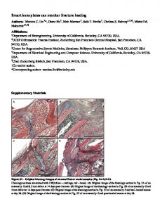 Science Manuscript Template