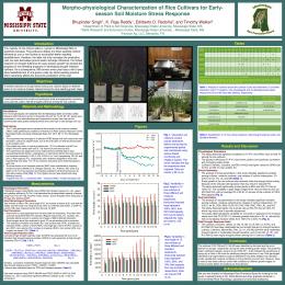 season Soil Moisture Stress Response