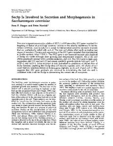 Sec3p Is Involved in Secretion and Morphogenesis in