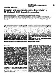 Selection and recombination drive the evolution of MHC class ... - Nature